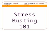 Energized. inspired. engaged.Curt Rosengren The Passion Catalyst TM Stress Busting 101.