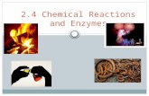 2.4 Chemical Reactions and Enzymes. Chemical Reactions  A chemical reaction is a process that changes, or transforms, one set of chemicals into another.