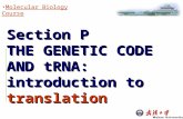 Section O Molecular Biology Course Section P THE GENETIC CODE AND tRNA: introduction to translation.