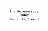 The Bureaucracy Today Chapter 15, Theme B. Civil Servants ~3.5 million work directly for fed gov’t, 17 million if you include states Spoils System- Patronage.