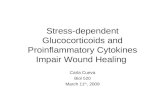 Stress-dependent Glucocorticoids and Proinflammatory Cytokines Impair Wound Healing Carla Cueva Biol 520 March 11 th, 2009.