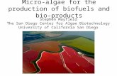 Stephen Mayfield The San Diego Center for Algae Biotechnology University of California San Diego Micro-algae for the production of biofuels and bio-products.