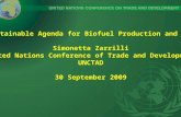 A Sustainable Agenda for Biofuel Production and Trade Simonetta Zarrilli United Nations Conference of Trade and Development UNCTAD 30 September 2009.