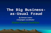 The Big Business-as- Usual Fraud By Simone Lovera Campaigns coordinator Global Forest Coalition.