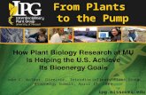 John C. Walker, Director, Interdisciplinary Plant Group Bioenergy Summit, April 17, 2009 How Plant Biology Research at MU Is Helping the U.S. Achieve Its.