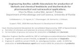 Engineering Bacillus subtilis biocatalysts for production of biofuels and chemical feedstocks and biochemicals for pharmaceutical and nutraceutical applications.