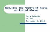 Reducing the Amount of Waste Activated Sludge Sara Schmidt CE 479 December 6, 2006.