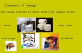 Treatment of Sewage Raw sewage consists of water containing organic wastes faecestoilet paper food scraps detergents.