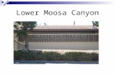 Lower Moosa Canyon. Moosa Energy Savings Kilowatts hours used; 2008 976,000kWh 2009 772,000kWh 2010 630,000kWh 2011 561,000kWh 2012 529,000kWh 2013 360,000kWh(est.)