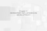 Chapter 3 HEREDITARY INFLUENCES ON DEVELOPMENT. PRINCIPLES OF HEREDITARY TRANSMISSION Development begins at conception –Sperm cell penetrates ovum –Zygote.