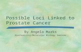 Possible Loci Linked to Prostate Cancer By Angela Marks Biochemistry/Molecular Biology Seminar.