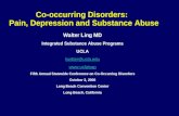 Co-occurring Disorders: Pain, Depression and Substance Abuse Walter Ling MD Integrated Substance Abuse Programs UCLA lwalter@ucla.edu  Fifth.