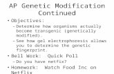 AP Genetic Modification Continued Objectives: – Determine how organisms actually become transgenic (genetically modified). – See how gel electrophoresis.