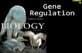 Gene Regulation Chapter 15. Gene Regulation 2Outline Prokaryotic Regulation  trp Operon  lac Operon Eukaryotic Regulation  Transcriptional Control.