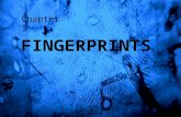 FINGERPRINTS Chapter 3. History The first systematic attempt at personal identification was devised by a French police expert, Alphonse Bertillion.