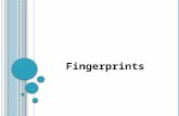 Fingerprints. History of Fingerprints Fingerprints pressed into clay tablet contracts have been found that date back to 1792-1750 BC in Babylon In ancient.