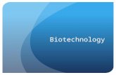 Biotechnology. Biotechnology: broadly refers to the engineering of organisms for useful purposes Often, biotechnology involves the creation of hybrid.