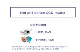 Hot and dense QCD matter APCTP-WCU Focus Program “ From dense matter to campact stars in QCD and hQCD ”, Pohang, May 24-June 4, 2010 Mei Huang IHEP, CAS.