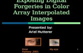 1 Exposing Digital Forgeries in Color Array Interpolated Images Presented by: Ariel Hutterer Final Fantasy,2001My eye.