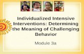 Individualized Intensive Interventions: Determining the Meaning of Challenging Behavior Module 3a.
