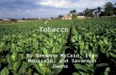 Tobacco By Breanna McCain, Evan Moussaid, and Savannah Owens.