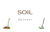 SOIL SOL 3.1 & 3.7 Soil provides support and nutrients for plant growth.