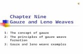 Chapter Nine Gauze and Leno Weaves 1: The concept of gauze 2: The principles of gauze weave formation 3: Gauze and leno weave examples.