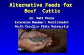 Alternative Feeds for Beef Cattle Dr. Matt Poore Extension Ruminant Nutritionist North Carolina State University.