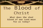 The Blood of Christ What does the shed blood of our Lord mean for us today?