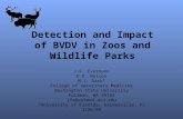 Detection and Impact of BVDV in Zoos and Wildlife Parks J.F. Evermann D.D. Nelson M.J. Dark* College of Veterinary Medicine Washington State University.