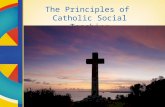 The Principles of Catholic Social Teaching. Human Dignity Belief in the inherent dignity of the human person is the foundation of all Catholic social.