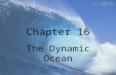 Chapter 16 The Dynamic Ocean. Section 16.2 Waves & Tides.