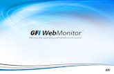 1. 2 Presentation outline » IT pain points » GFI WebMonitor™ » Testimonials » Kudos » Conclusion » About us.