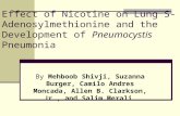 Effect of Nicotine on Lung S- Adenosylmethionine and the Development of Pneumocystis Pneumonia By Mehboob Shivji, Suzanna Burger, Camilo Andres Moncada,