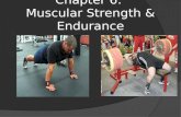 Chapter 6: Muscular Strength & Endurance. Muscular Strength and Endurance Defined  Muscular strength The ability of a muscle or muscle groups to exert.