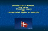 1 Introduction to Denmark -the Danes - Storstrom region and - Occupational health at hospitals.