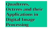 Quadtrees, Octrees and their Applications in Digital Image Processing.
