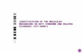 IDENTIFICATION OF THE MOLECULAR MECHANISMS IN RETT SYNDROME AND RELATED DISORDERS (RTT-GENET) X.