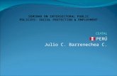 PERÚ Julio C. Barrenechea C. SEMINAR ON INTERSECTORAL PUBLIC POLICIES: SOCIAL PROTECTION & EMPLOYMENT.