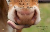 We Stick Our Tongue Out At Animal Abuse… Presentation By: Kandra Stegall And Chelsea Mays.