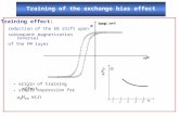 Training of the exchange bias effect reduction of the EB shift upon subsequent magnetization reversal of the FM layer Training effect: - origin of training.