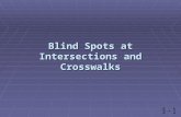 Blind Spots at Intersections and Crosswalks. Mirror Adjustments  Mirrors correctly adjusted allow line of sight to avoid collisions.  Mirrors not properly.