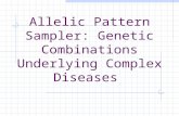 Allelic Pattern Sampler: Genetic Combinations Underlying Complex Diseases.