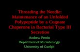 Threading the Needle: Maintenance of an Unfolded Polypeptide by a Cognate Chaperone in Bacterial Type III Secretion Andrew Perrin Department of Microbiology.