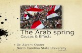 The Arab spring Causes & Effects Dr. Akram Khater North Carolina State University June 2012.