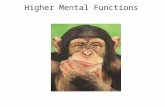 Higher Mental Functions. The brain exhibits electrical activity, which is associated with higher mental functions.