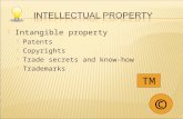 Intangible property  Patents  Copyrights  Trade secrets and know-how  Trademarks © TM.