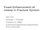 Foam Enhancement of sweep in Fracture System Wei Yan George J. Hirasaki Clarence A. Miller Chemical Engineering Department, Rice University.