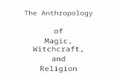 The Anthropology of Magic, Witchcraft, and Religion.
