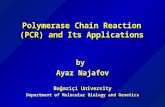 Polymerase Chain Reaction (PCR) and Its Applications by Ayaz Najafov Boğaziçi University Department of Molecular Biology and Genetics.